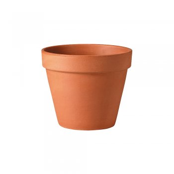 STANDARD POT COTTO 01